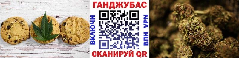 Купить закладки  Алагир  Canna-Cookies марихуана 