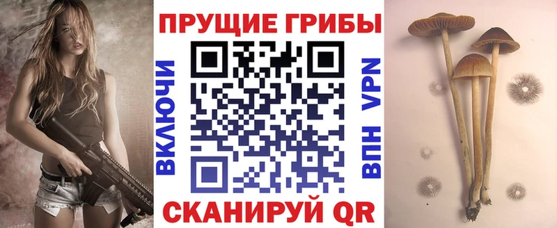 Псилоцибиновые грибы GOLDEN TEACHER  Купить где  Алагир 